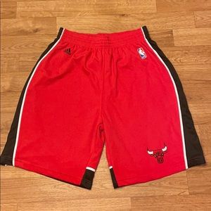 Adidas Chicago Bulls Shootaround shorts NEW